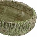 Floristik24 Donica betonowa owalna antyczna zielony, brązowy 24×14×13cm