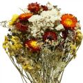 Floristik24 Bukiet suszonych kwiatów Kwiaty słomkowe i lilak plażowy 125g Suszona Kwiaciarnia