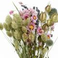 Floristik24 Bukiet dzikich traw z kwiatami słomianymi suchymi kwiatami 70g