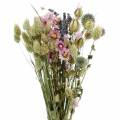 Floristik24 Bukiet dzikich traw z kwiatami słomianymi suchymi kwiatami 70g