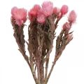Floristik24 Suszone Kwiaty Kapelusz Różowe Kwiaty Słomiane Suszone Kwiaty W30cm