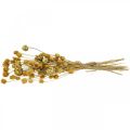 Floristik24 Suszony bukiet kwiatów karczoch truskawka oset naturalny 40–55cm 100g