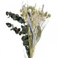 Floristik24 Bukiet suszonych kwiatów oset eukaliptusowy suszony srebrny 64cm