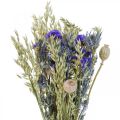 Floristik24 Bukiet suszonych kwiatów Bukiet kwiatów polnych niebieski W50cm 100g