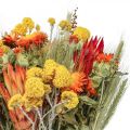 Floristik24 Bukiet suszonych kwiatów Bukiet kwiatów polnych Pomarańczowy W50cm 300g