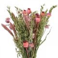 Floristik24 Suszony bukiet Bukiet polnych kwiatów Róż W50cm 140g