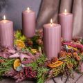 Suszona trawa trzcinowa, suszona trawa ozdobna, antyczna róża, 75 cm, 10 sztuk | Floristik24.pl