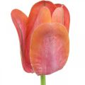 Floristik24 Tulipan sztuczny kwiat czerwony, pomarańczowy Sztuczny wiosenny kwiat wys.67cm