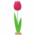 Floristik24 Gigantyczny filcowy kwiat tulipan zielony, różowy 19,5 cm x 24 cm wys. 88 cm dekoracja witryny sklepowej
