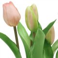 Floristik24 Tulipan różowy, zielony w doniczce Sztuczna roślina doniczkowa dekoracyjna tulipan wys.23cm