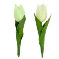 Floristik24 Wiosenna dekoracja, sztuczne tulipany, jedwabne kwiaty, ozdobne tulipany zielono/kremowe 12 sztuk