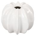 Floristik24 Ceramiczny wazon w kształcie dyni, biały, dekoracja domu, 15 cm