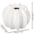 Wazon dekoracyjny w kształcie dyni, błyszczący, jesienna dekoracja do salonu, 19 cm | Floristik24.pl