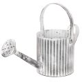 Floristik24 Doniczka vintage Ø17cm, dekoracyjna konewka, metalowa doniczka shabby chic