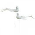 Floristik24 Białe gołębie, ślubne, ozdobne gołąbki, ptaszki na drucie W6cm 6szt