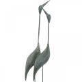 Floristik24 Para ptaków, dekoracja metalowa, ptactwo wodne Srebrny, sprany biały W74cm