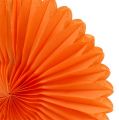 Floristik24 Plaster miodu Papierowy kwiat pomarańczowy Ø20cm 3szt.