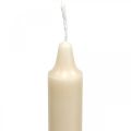 Floristik24 PURE świece woskowe w sztyfcie krem Sahara 250/23mm wosk naturalny 4 sztuki