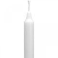 Floristik24 PURE świece woskowe świece sztyftowe białe 250/23mm wosk naturalny 4szt