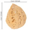 Orzechy włoskie do dekoracji, produkt naturalny, 3-4 cm, 300 g | Floristik24.pl