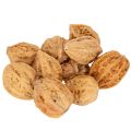 Floristik24 Orzechy włoskie, naturalny produkt do dekoracji stołu i projektów DIY. Naturalne orzechy włoskie, 4-5 cm, 300 g.