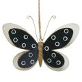 Floristik24 Wall Art Butterfly Deco Czarny Biały Złoty Metal 15cm