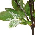 Floristik24 Gałązki bożonarodzeniowe, snowberry, sztuczna roślina ośnieżona dł. 58 cm
