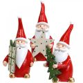 Floristik24 Figurki świąteczne Figurki do dekoracji Świętego Mikołaja W8cm 3szt