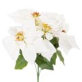 Floristik24 Sztuczna gwiazda betlejemska, biała, duży kwiat, roślina ozdobna, 40 cm