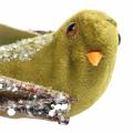 Floristik24 Ozdoba świąteczna ptaszek na klipsie zielona, brokatowa 12cm 6szt asortyment
