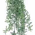Floristik24 Roślina zielona wisząca Sztuczna roślina wisząca z pąkami zielona, biała 100cm