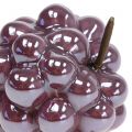Floristik24 Grape Ceramic Lilac 10cm 2szt.