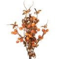 Sztuczna gałązka głogu, ozdoba jesienna, 75 cm | Floristik24.pl