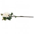 Floristik24 Białe róże sztuczna róża duża z trzema pąkami 57cm