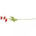 Floristik24 Sztuczny czerwony kwiat maku z 4 kwiatami maku wys.60cm