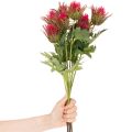 Sztuczna gałązka ostu czerwonego do dekoracji, 67 cm, 3 sztuki | Floristik24.pl