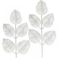 Floristik24 Ozdoba zimowa, liście dekoracyjne, sztuczna gałąź biały brokat L36cm 10szt