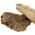 Floristik24 Kawałki drewna korzeniowego naturalne 500g