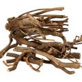 Floristik24 Gałązki i podkładki ozdobne z drewna, suszone naturalnie, 18 cm, 500 g