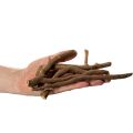 Gałązki i podkładki ozdobne z drewna, suszone naturalnie, 18 cm, 500 g | Floristik24.pl
