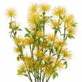 Floristik24 Kwiat jedwabiu ksantium żółty 53 cm 6 sztuk