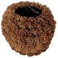 Floristik24 Dekoracyjna donica z szyszkami sosnowymi, naturalny wygląd, 27 cm. Okrągła donica w kształcie szyszki sosnowej, w kolorze naturalnego brązu, wykonana z szyszek sosnowych, 27 cm x 22 cm.