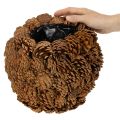 Dekoracyjna donica z szyszkami sosnowymi, naturalny wygląd, 27 cm. Okrągła donica w kształcie szyszki sosnowej, w kolorze naturalnego brązu, wykonana z szyszek sosnowych, 27 cm x 22 cm. | Floristik24.pl