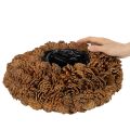 Okrągła doniczka w kształcie szyszki sosnowej jako donica, 38 cm; okrągła doniczka w kształcie szyszki sosnowej, naturalny brąz, wykonana z szyszek sosnowych, 38 cm x 14 cm | Floristik24.pl