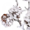 Floristik24 Gałąź świąteczna Gałąź ozdobna Gałązka stożkowa pokryta śniegiem 72cm