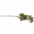 Floristik24 Cone Branch Green 33cm Sztuczna roślina jak prawdziwa!