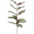 Floristik24 Sztuczna roślina dekoracyjna gałąź zielona czerwona brązowa pianka H68cm