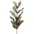 Floristik24 Sztuczna roślina dekoracyjna gałąź zielona czerwona brązowa pianka H68cm