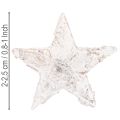 Gwiazdki brzozowe mini 2cm - 2,5cm bielone 150 szt. | Floristik24.pl