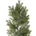 Floristik24 Girlanda ze sztucznych gałązek jodły do kreatywnej florystyki, 175 cm